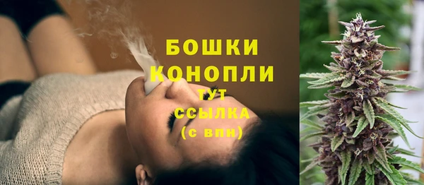 PSILOCYBIN Армянск