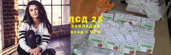 мяу мяу мука Аркадак