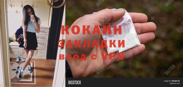 мяу мяу мука Аркадак