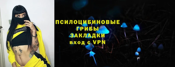 PSILOCYBIN Армянск