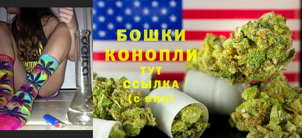 PSILOCYBIN Армянск