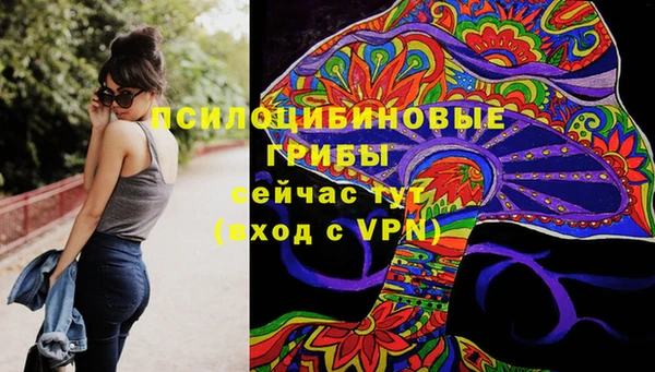 PSILOCYBIN Армянск