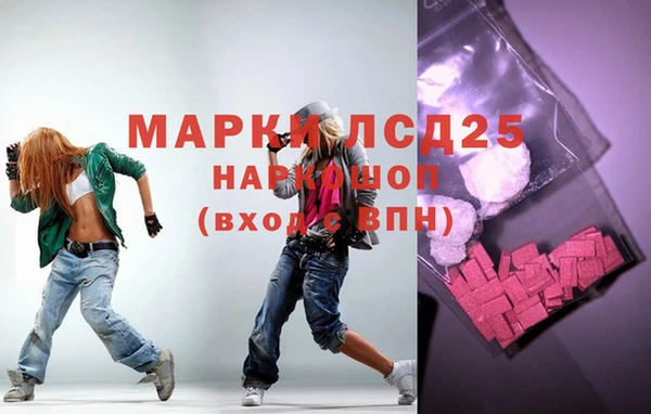 мяу мяу мука Аркадак