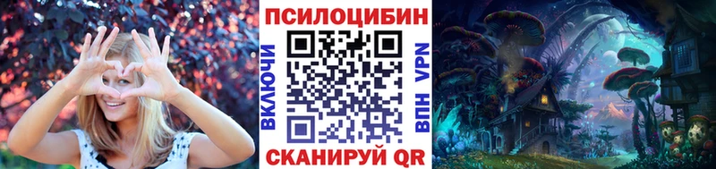 omg сайт  Темрюк  Псилоцибиновые грибы ЛСД 
